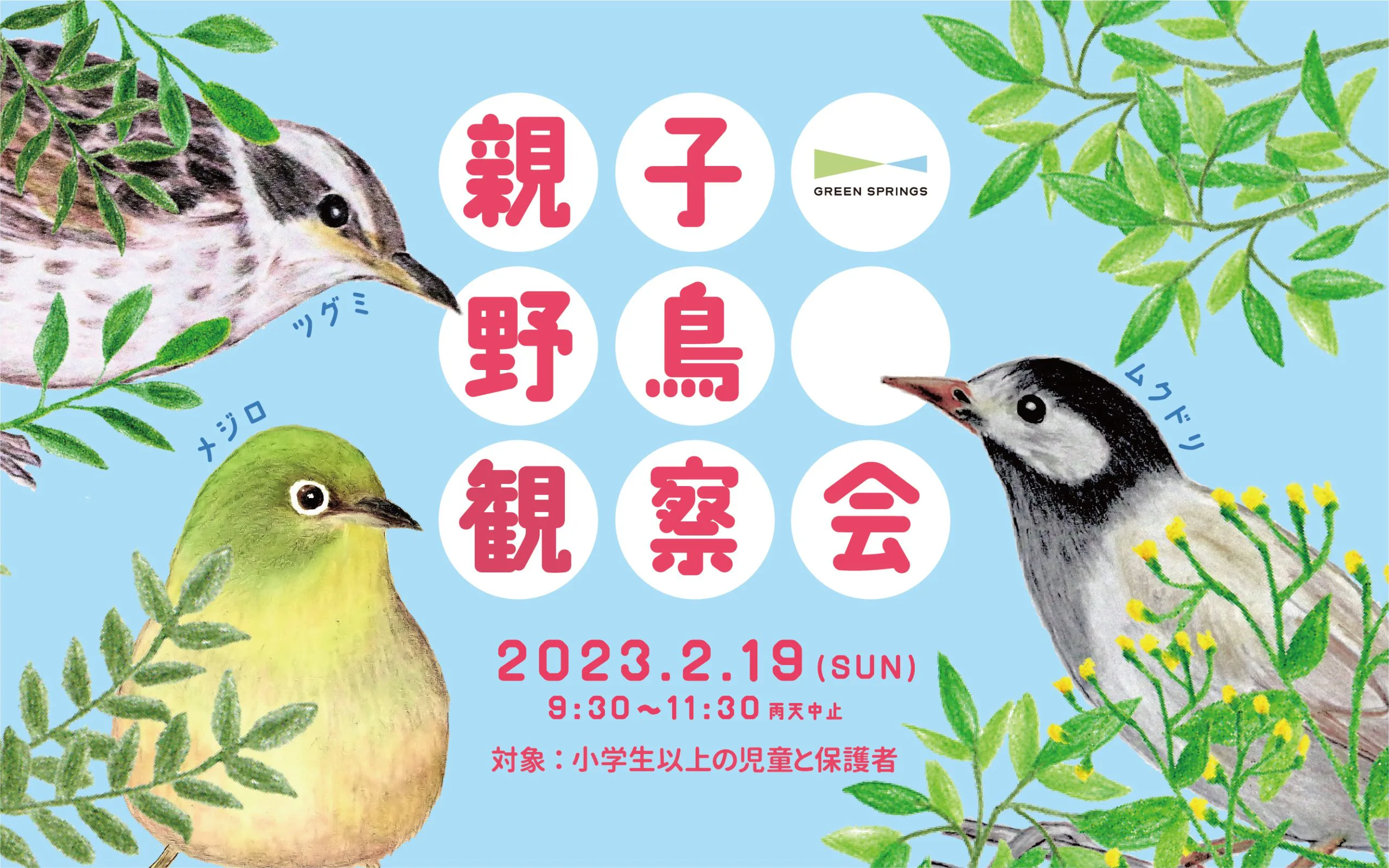親子野鳥観察会 | GREEN SPRINGS（グリーンスプリングス）