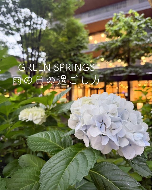 【雨の日の過ごし方】
雨の日にオススメ☔️
GREEN SPRINGSでの過ごし方をご紹介いたします！  ◆11:00 
雨の日でも楽しめるPLAY! MUSUMで鑑賞体験😌
7/6まで「どうぶつ展」を開催中‼
国⽴科学博物館と初めてのコラボレーションとなる、動物をテーマにした体験型の展覧会です🦓🦌  ◆12:00
展覧会の後はgood spoonでランチタイム🍝
お子様プレートのご用意がございますのでご家族でのご利用にもオススメです！  ◆13:30
ランチの後はアジサイを見ながらのんびり散歩🌿GREEN SPRINGSでは季節ごとに自然の変化をお楽しみいただけます😌  ◆14:00
お散歩の後は屋内でショッピング🛍️
現在、MOTHERHOUSEでは、雨の日でも安心な撥水性のあるポリウレタン素材の商品を販売中です！  ◆15:00
土屋鞄で子ども用のレイングッズ探し🌂
現在、土屋鞄ではランドセルカバーやランドセルを背負ったまま着ることができるレインコートなど雨の日にぴったりな商品を販売中です！  ◆16:00
ショッピングの後はSestinaでカフェタイム🍰☕️暑い日が続くこの時期にぴったりなジェラートがオススメ🧊
限定フレーバーも販売中です！  #グリーンスプリングス散歩
#greensprings_jp
#グリーンスプリングス #greensprings
#ウェルビーイング #wellbeing
#立川 #tachikawa #雨の日の過ごし方 #梅雨の過ごし方 #梅雨アイテム #アジサイ#playmuseum #どうぶつ展 #goodspoon  #マザーハウス #マザーハウス立川本店 #土屋鞄ランドセル #grirose #sestina#立川ランチ #立川カフェ