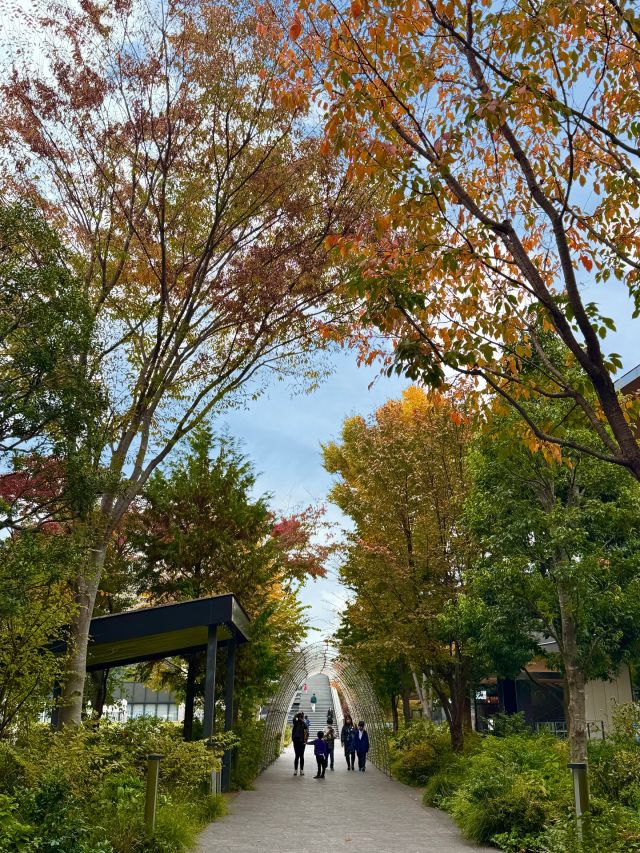 【グリーンスプリングス散歩】  木々が色づき、秋の訪れを感じる季節になりました🍂  お気に入りのカフェドリンクを片手に、季節の移ろいを感じながらGREEN SPRINGSをお散歩してみませんか🍁  11月30日(日)までの期間、
GREEN SPRINGSの対象店舗で
お茶を取り扱ったメニューをお楽しみいただけるイベント「Tea Time Selection」を開催中です🍵
ぜひこの機会にお楽しみください😊  #グリーンスプリングス散歩
#greensprings_jp
#グリーンスプリングス #greensprings
#ウェルビーイング #wellbeing
#立川 #tachikawa #秋 #紅葉
