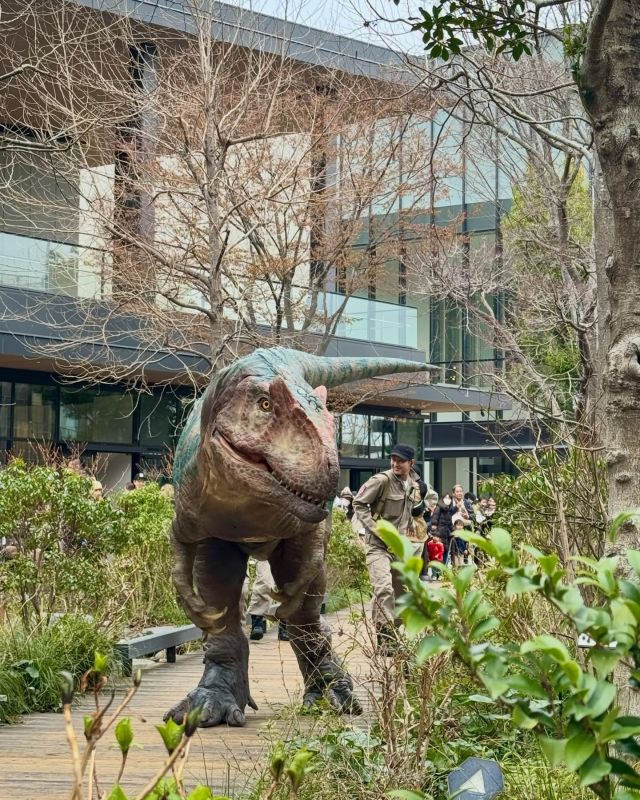 【GREEN SPRINGSに恐竜が棲みついた！ 】  DINO-A-LIVEの恐竜によるグリーティングを
開催中です！
今回はアロサウルスがGREEN SPRINGSに登場🦖🌿
迫力ある超リアルな恐竜体験を、ぜひお楽しみください🌟  本日、初日が終了しました。
明日、明後日もぜひお越しください！
 
【概要】
日程：2026年3月6日(金)～3月8日(日)
時間：11:30～、13:30～、15:30～
会場：GREEN SPRINGS 2F PARK
入場：無料
恐竜：アロサウルス(予定)
※出演は約15分間です。開始時間は都合により多少前後する場合もございます。
※雨天時・荒天時は演出が変更となる場合がございます。
※予告なく変更・中止となる場合がございます。  #GREENSPRINGS #グリーンスプリングス #立川 #ディノアライブ #恐竜イベント